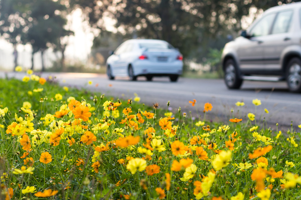 Spring Car Care Tips